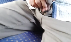 Dick în autobuz