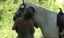 BDSM chasse, traditions et fessée à cheval Reinforcer