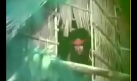 Alakdang gubat (1976.)