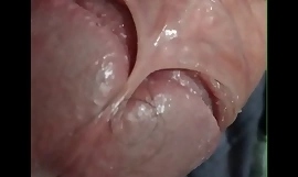 maagdelijke penis heel dichtbij gezien en huidslot van peniskop tonen