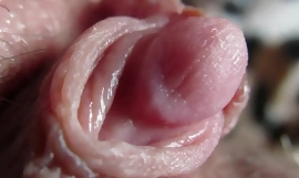 Enorme clitoride primo piano