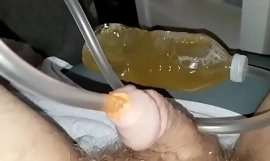 Orange Suds Sealed Meerschaum Up Pisshole Inject Bottled Piss Squeeze Pedestal Bubbles