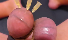 Testikelspett KBT, kant och sperma med 3 nålar, Precum och sträckta bollar