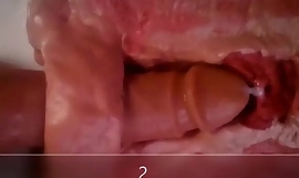 Nærbillede og intern visning af anal invasion dildo kneppe